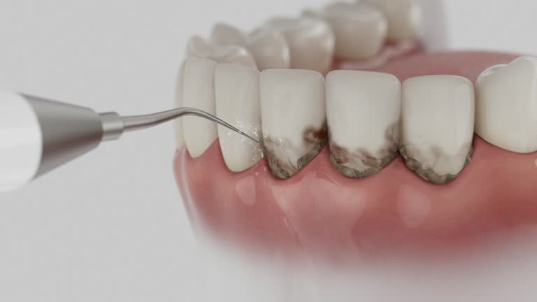 Reliable Dental contractor in Yazoo City, MS by Dentist Open Now